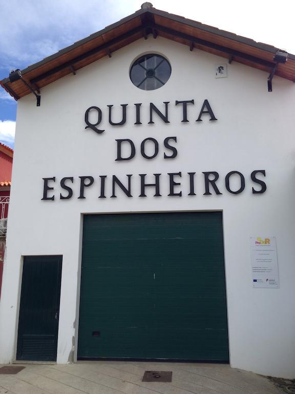 Quinta Dos Espinheiros Villa Provesende Room photo